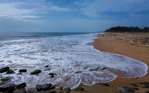 Great Ocean Road -12 Apostles-Loch Ard Gorge Tours