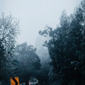 Ooty