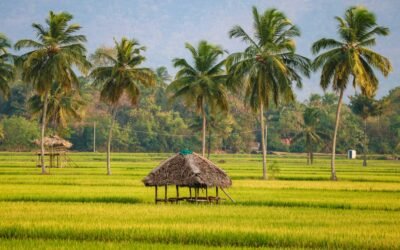 Top 10 Secret Destinations in South India for an Authentic Adventure