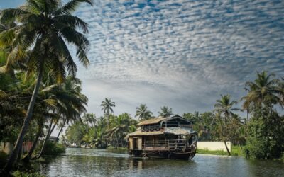 Explore Kerala’s Backwaters: Must Do Houseboat Tours