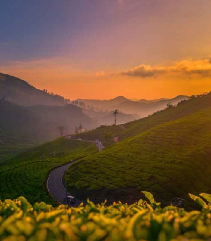 Tour List Munnar