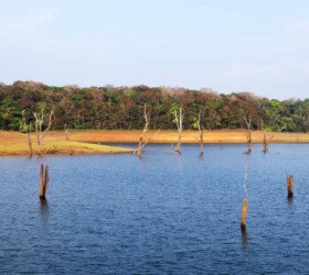 Scenic landscape over Periyar Lake.