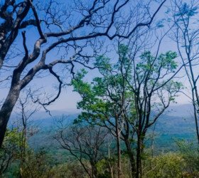 View from Malayattoor Kurisumudy.
