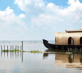 house boat.(with lots of dragonflies).