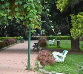 Heartbeat of the City. Heartbeat of the City.