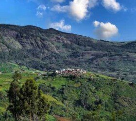 Lush Landscapes of Kodaikanal.