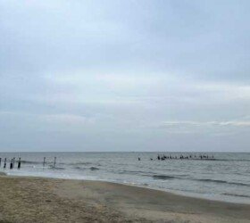 Ancient Wonders of Muziris.