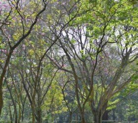 Dynamic Charm of Bangalore. Dynamic Charm of Bangalore.