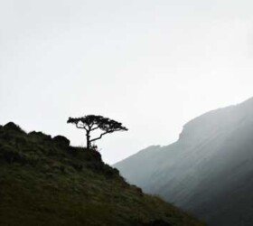 Majestic Views of Ooty.