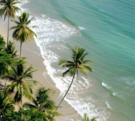 nature sea landscape in alleppey nature sea landscape in alleppey