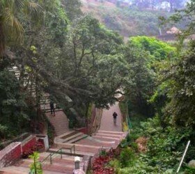 Coffee Gardens and Hills of Coorg.