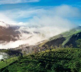 Scenic mountain mist at Munnar hills Scenic mountain mist at Munnar hills