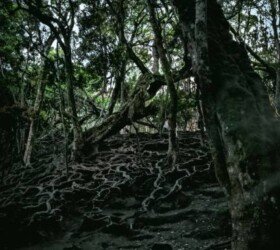 Guna Caves Guna Caves