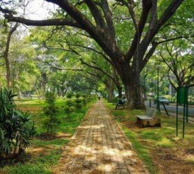 Lalbagh Botanical Garden Lalbagh Botanical Garden